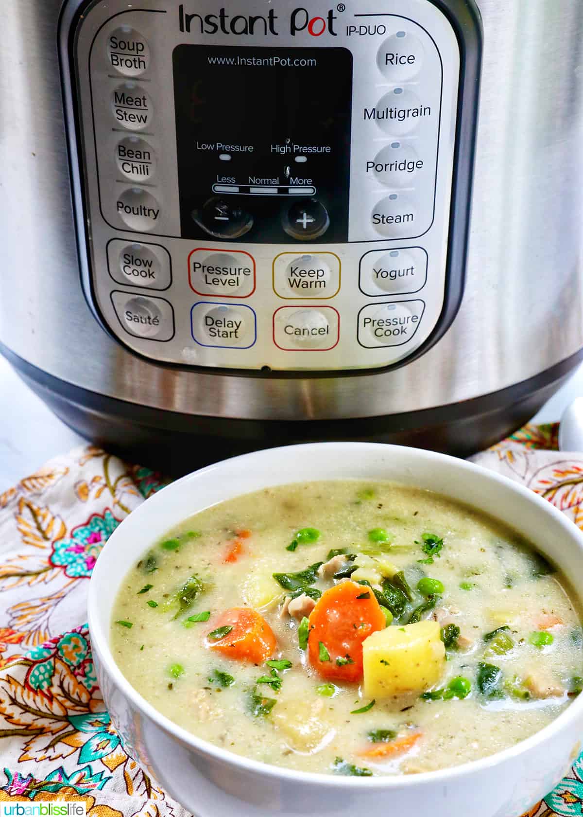 bowl of Instant Pot Chicken Stew in front of a pressure cooker.