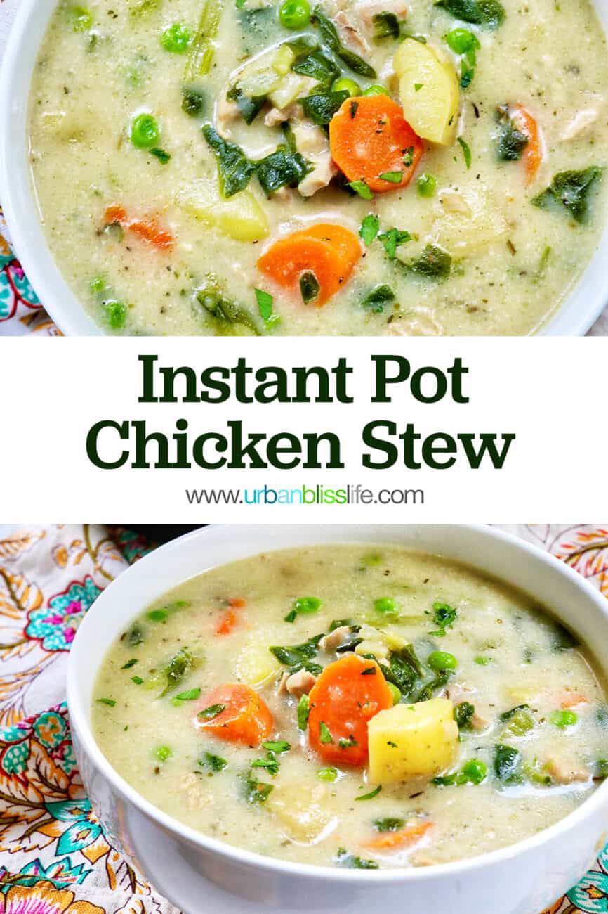 closeup of a bowl of Instant Pot Chicken Stew with title text.