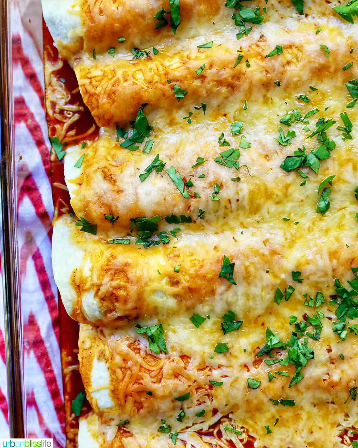 cheesy turkey enchiladas casserole in a glass baking dish with red and white striped towel.