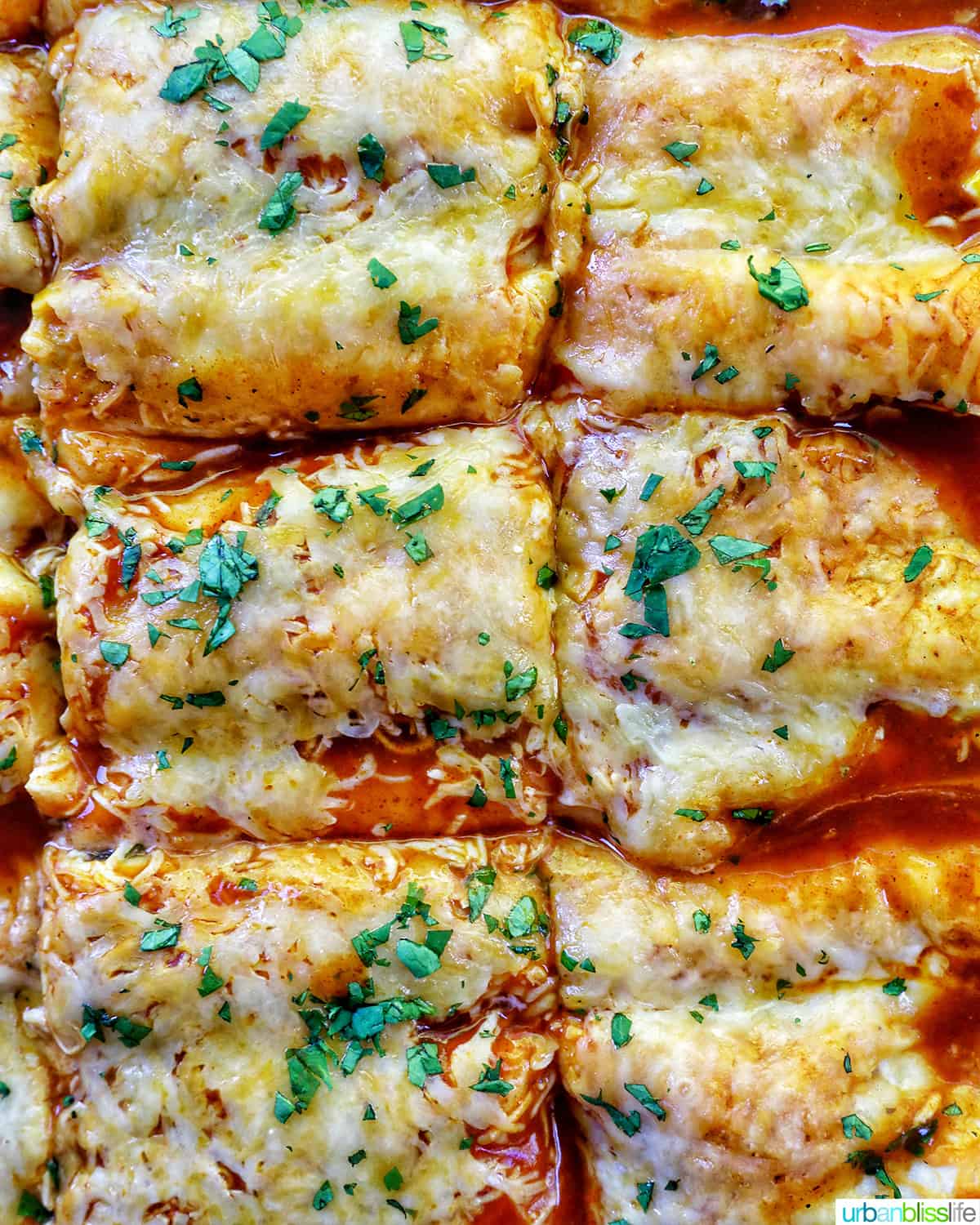 cheesy turkey enchiladas casserole sliced into squares with fresh herbs as garnish.