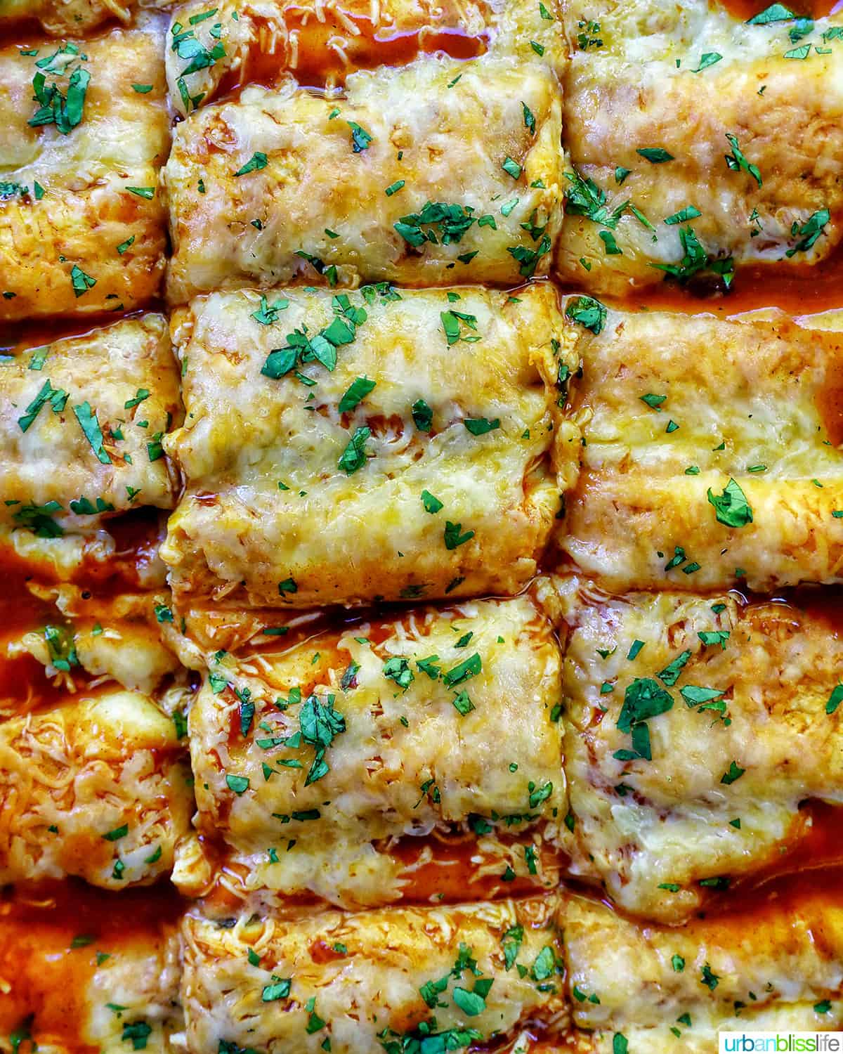 cheesy turkey enchiladas casserole sliced into squares with fresh herbs as garnish.