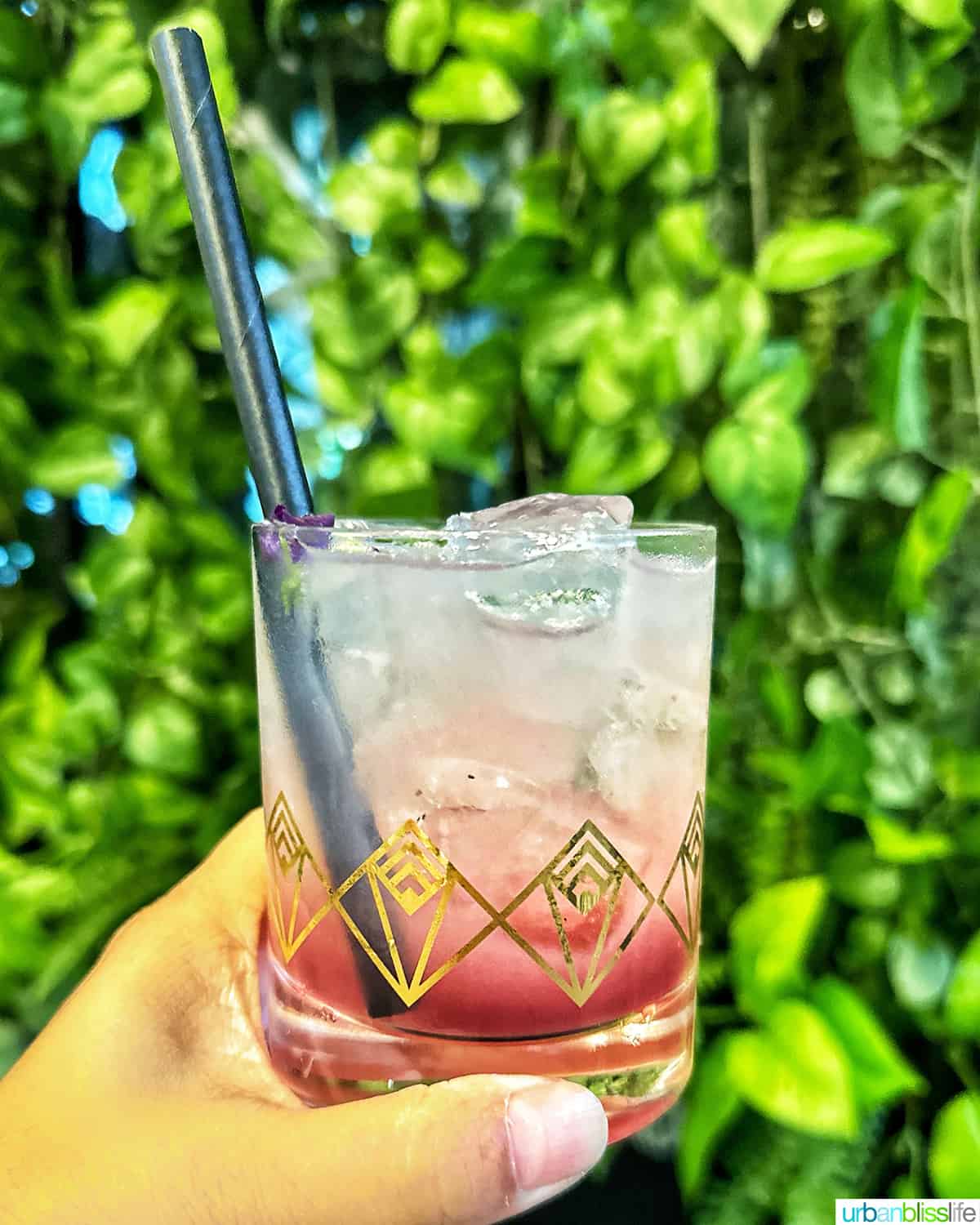 cocktail against a wall of green foliage at Mekong Thai restaurant in Whistler BC.