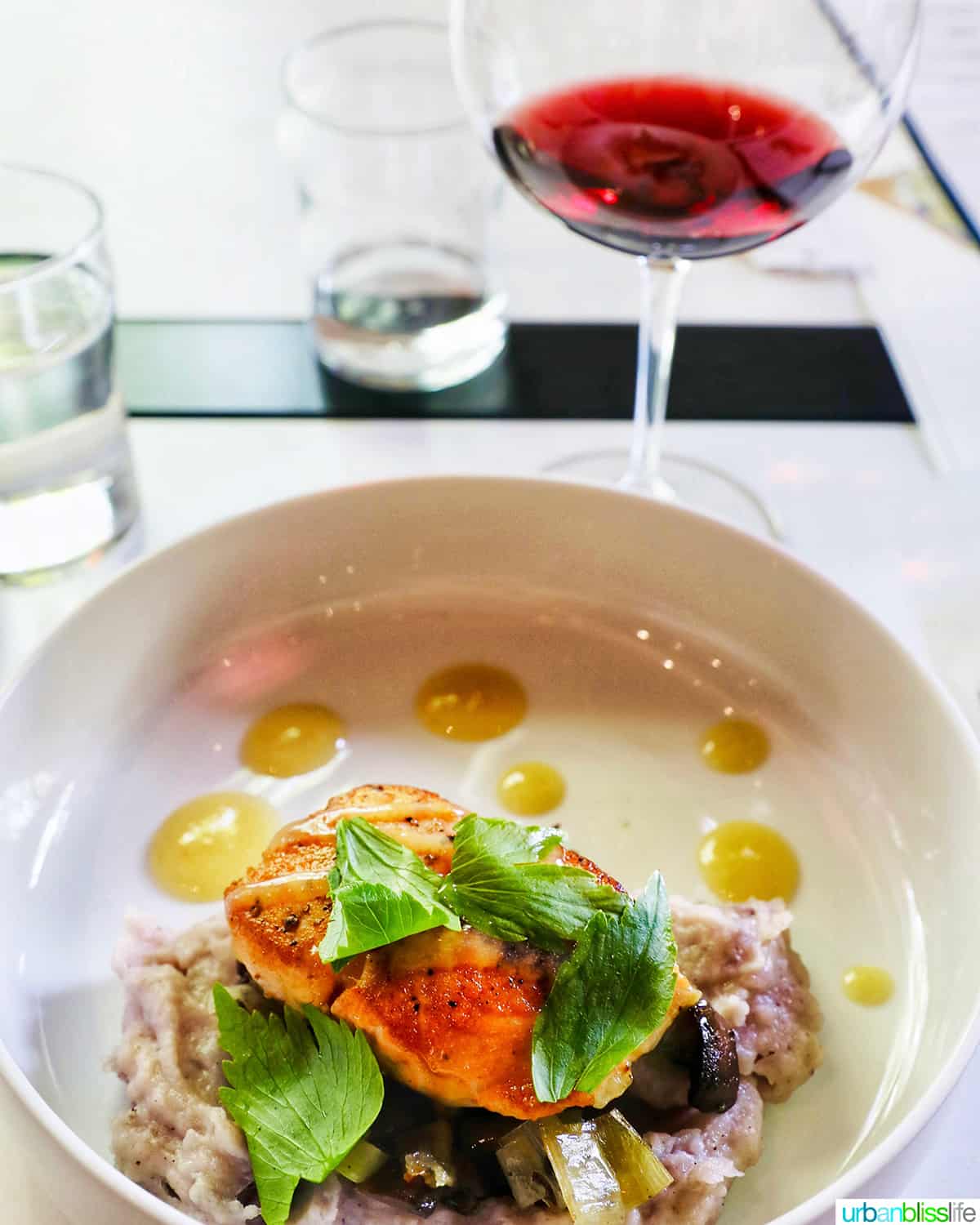 glass of Gamay Noir with plate of salmon.