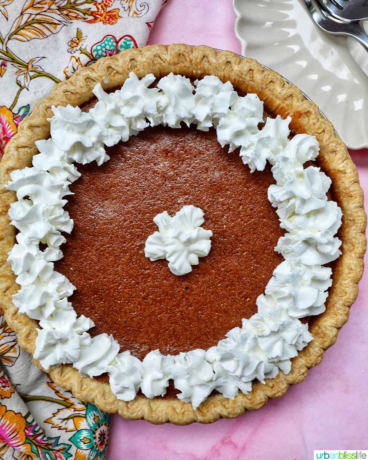 cinnamon pie with whipped cream on a pink background.