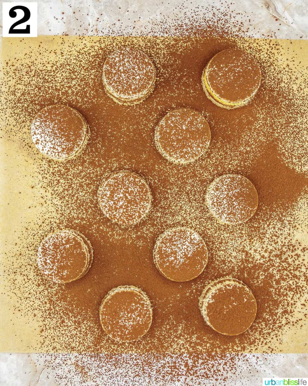 macaron shells dusted with cocoa powder.