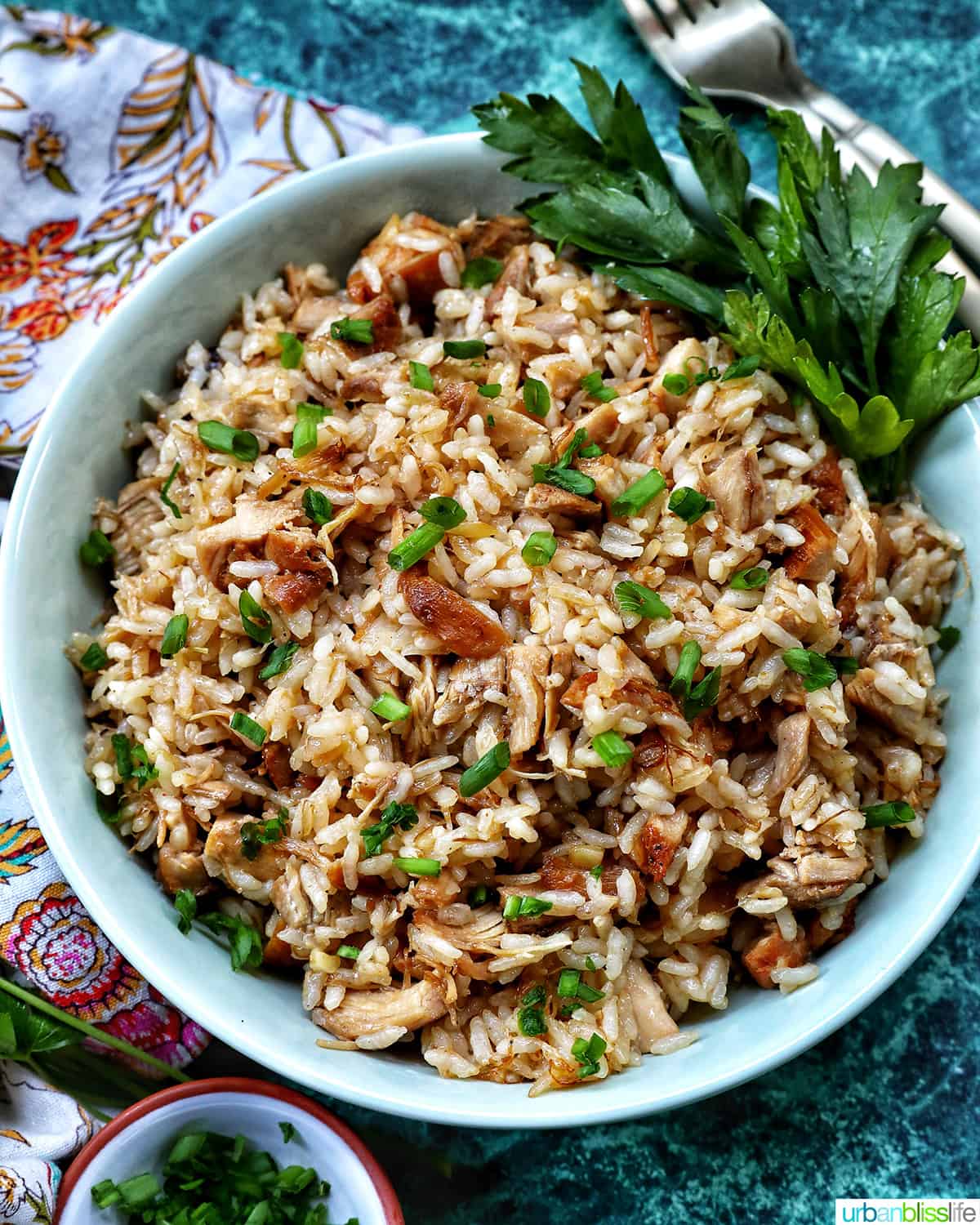 bowl of adobo fried rice with garnish of parsley.