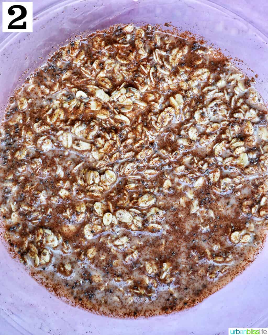 mixed ingredients to make cinnamon roll overnight oats in a large glass bowl.