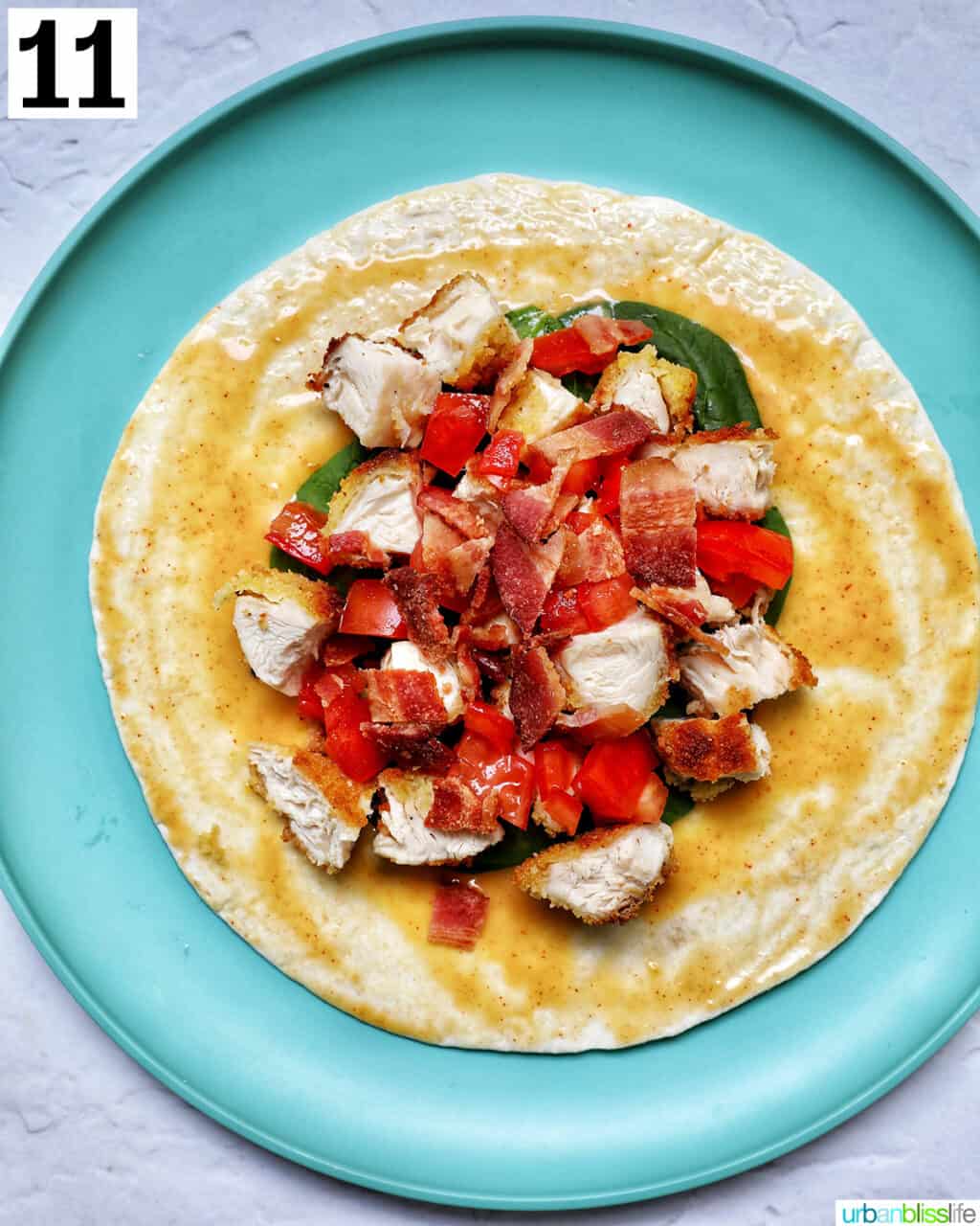 tomatoes, chicken, spinach on a tortilla wrap.