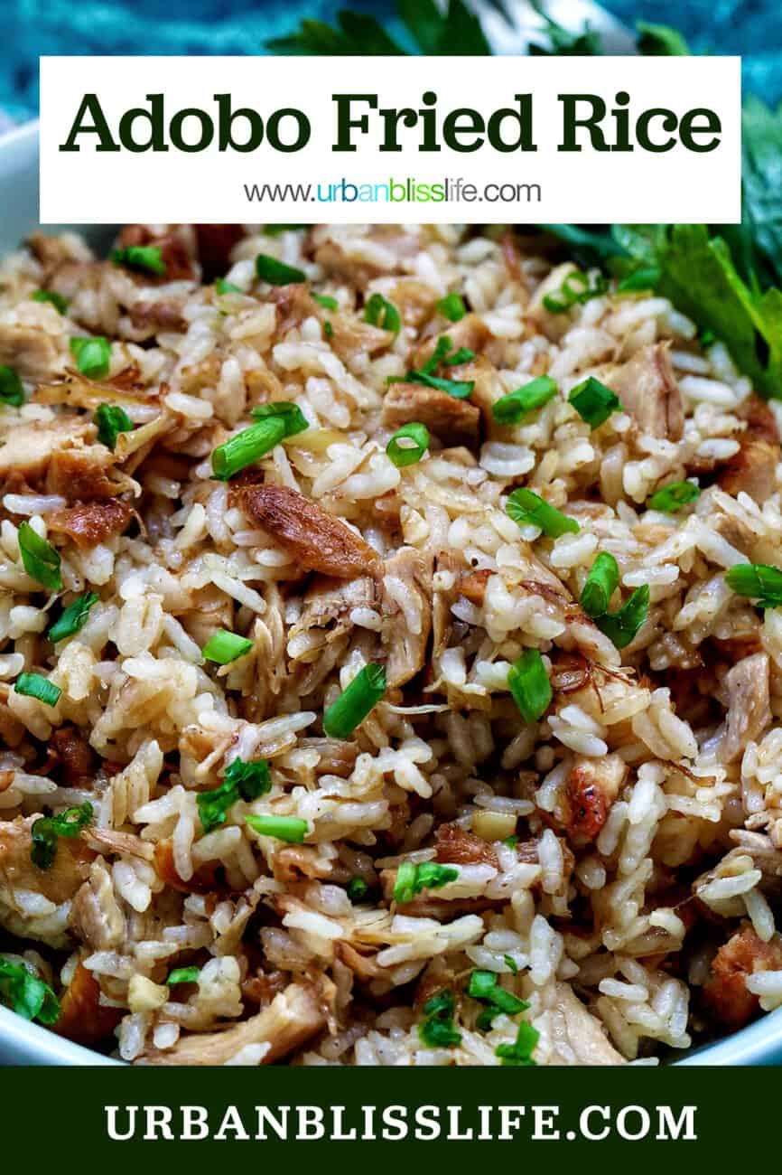 bowl of adobo fried rice with garnish of parsley.