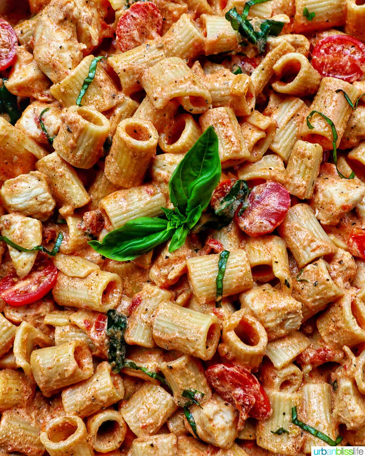 rigatoni pasta in a creamy Tuscan sauce with chicken, tomatoes, and herbs.