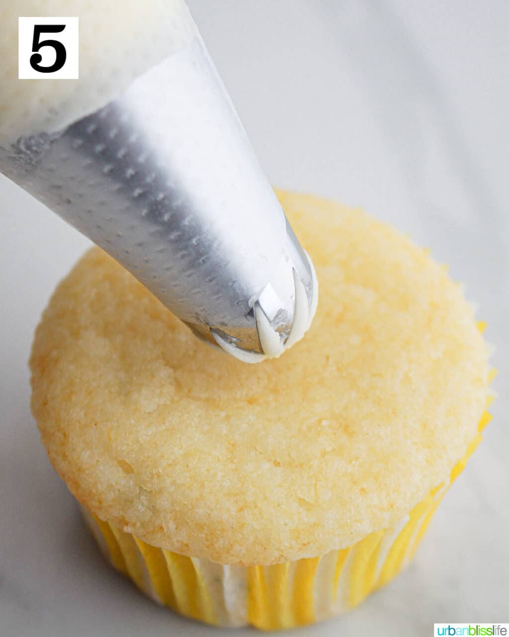 piping bag with frosting over a lemon basil cupcake.