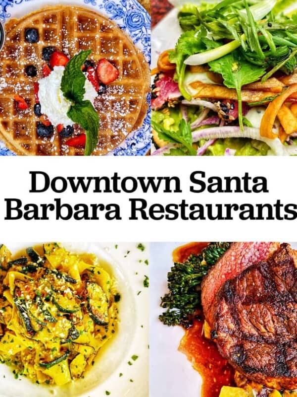 waffles, tuna tostadas, zucchini pasta, and steak with title text overlay that reads "downtown Santa Barbara restaurants."