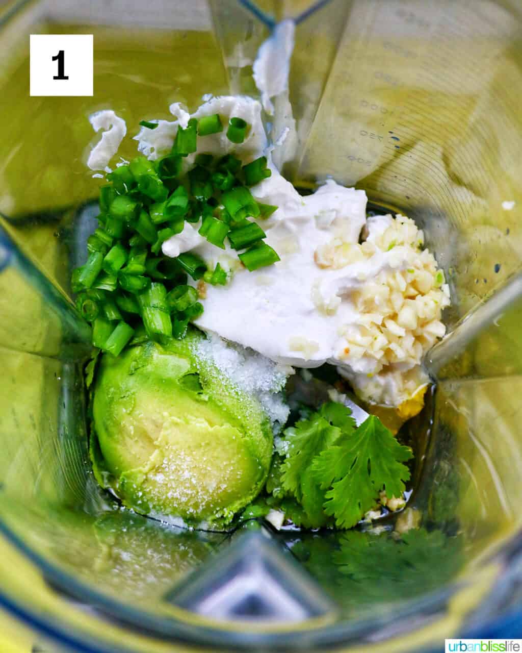 ingredients to make avocado cilantro lime crema in a blender.