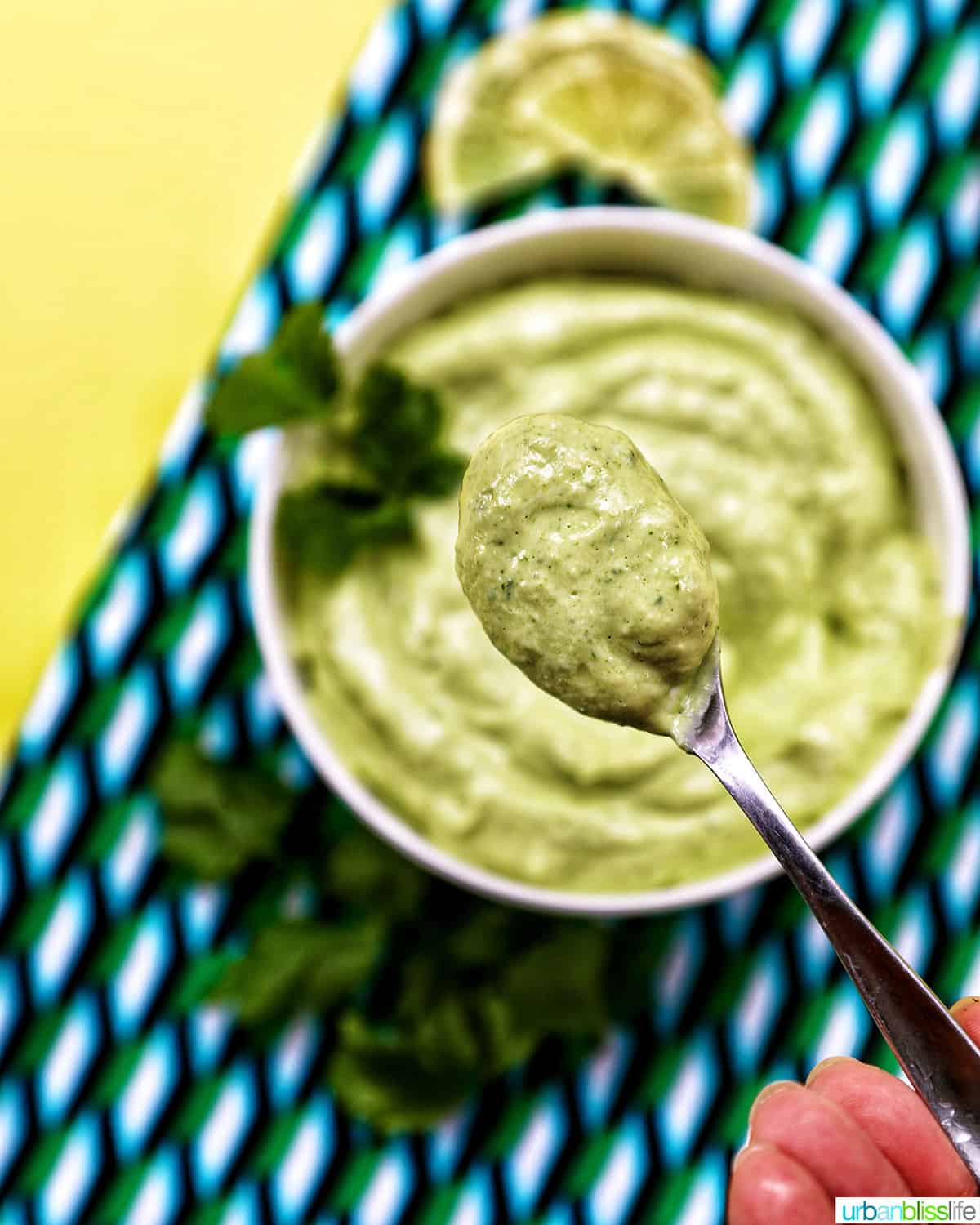 spoonful of avocado cilantro lime crema on a colorful modern napkin with garnish of cilantro leaves.