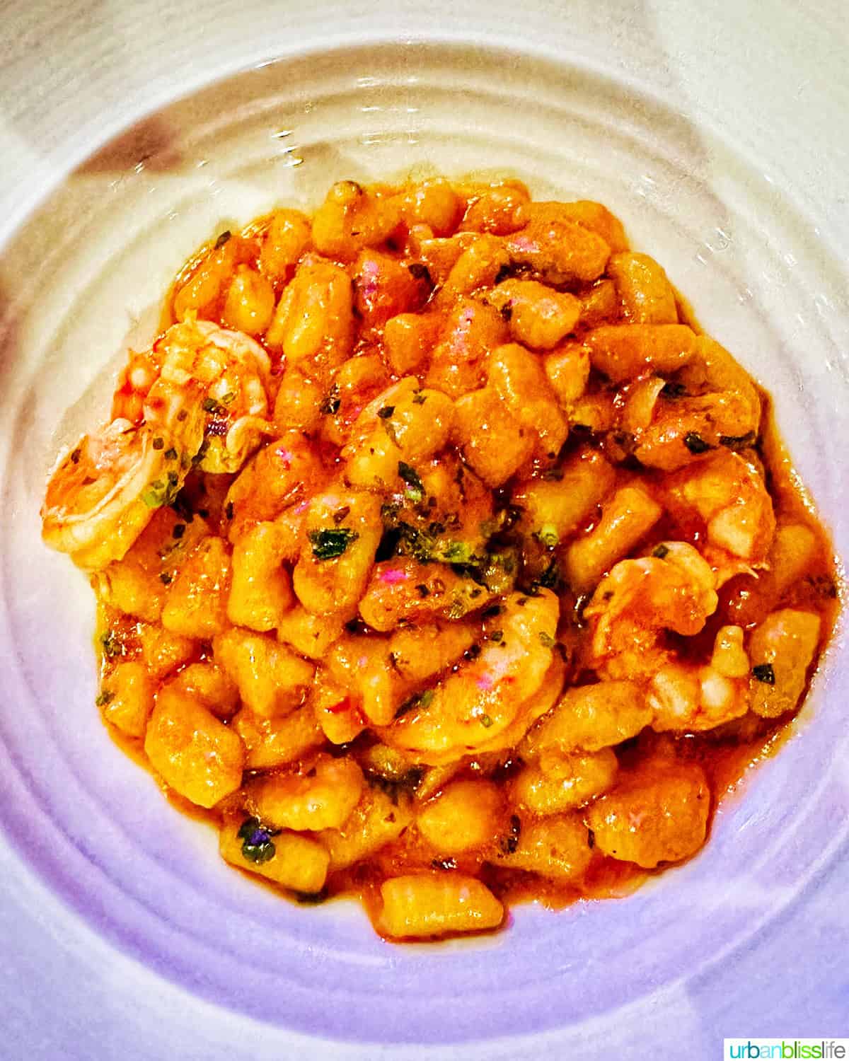 gnocchi and shrimp gamberetti  at Marea restaurant New York City (NYC).