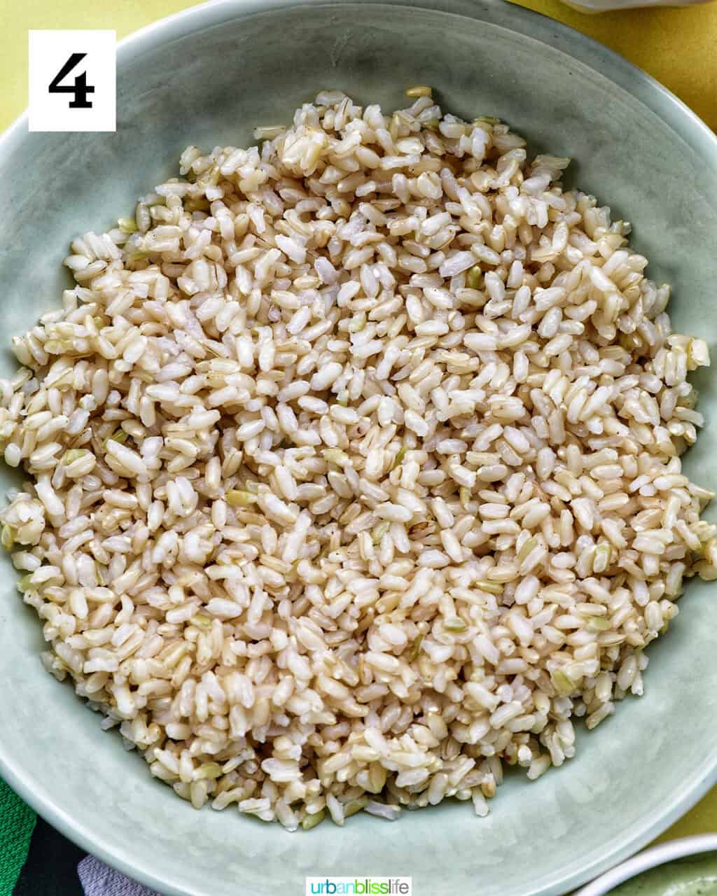 bowl of brown rice.