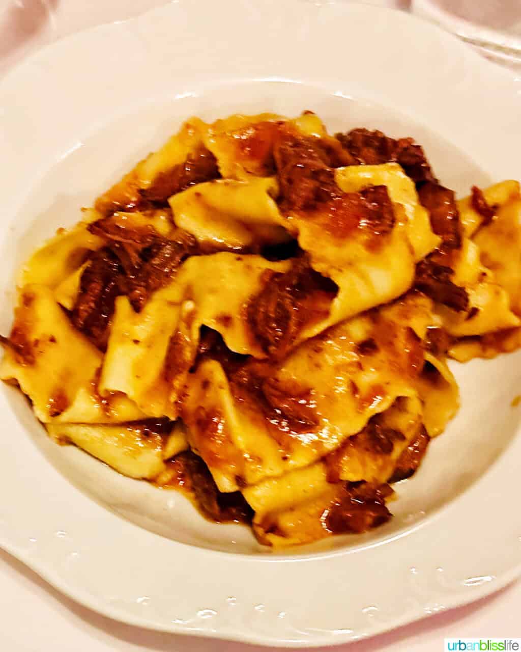 bowl of pappardelle pasta with wild boar ragu at Via Carota restaurant.