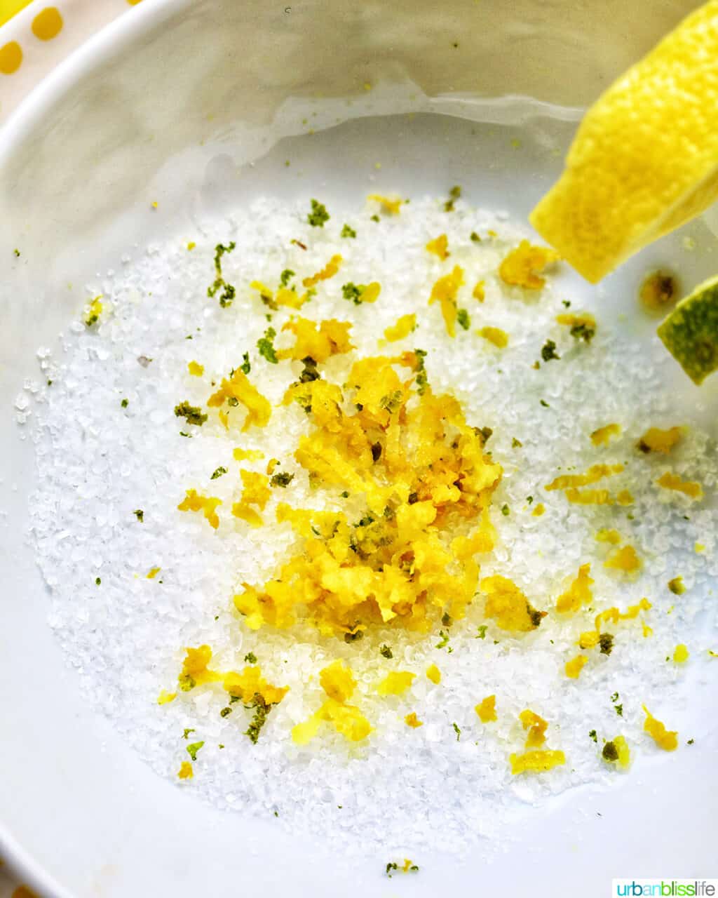 bowl of lime zest, lemon zest, and coarse salt.