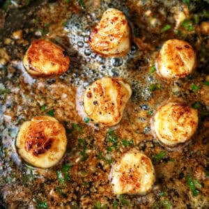 seared scallops in a cast iron skillet with butter garlic herb sauce.
