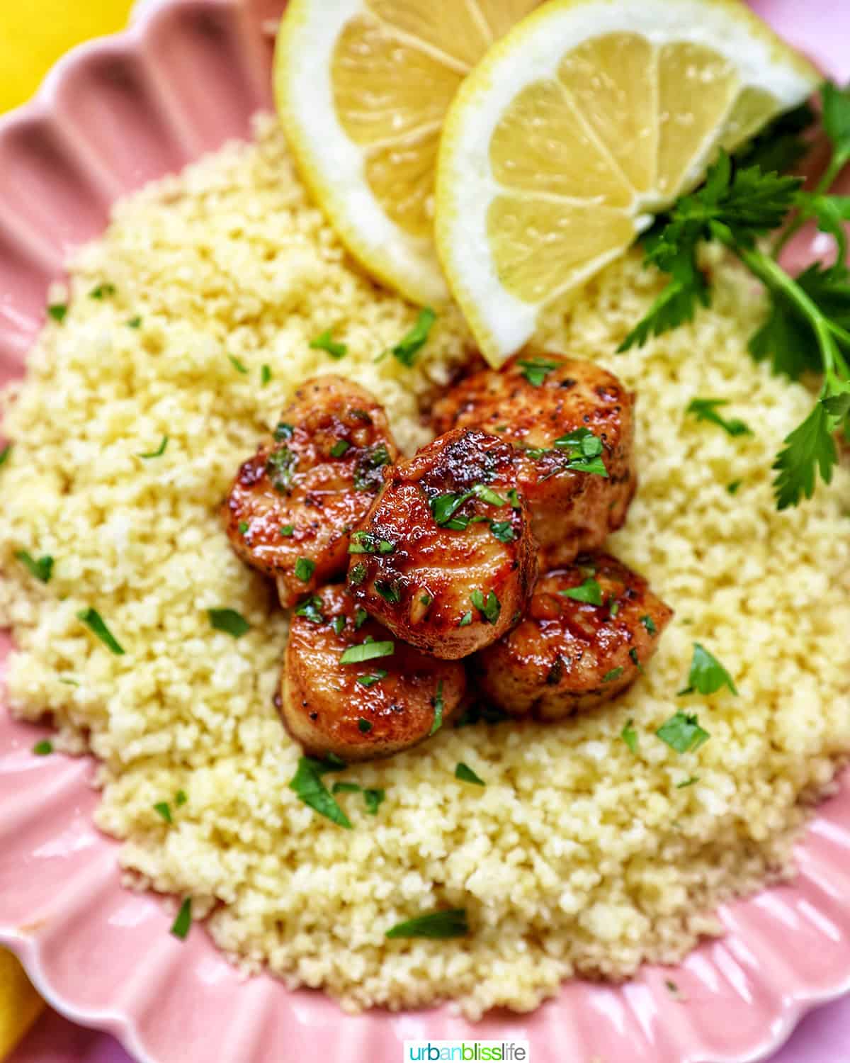 cast iron seared scallops on a bed of couscous garnished with herbs and lemon slices.