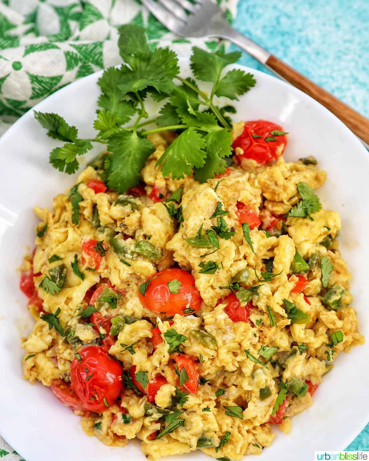 egg vegetable scramble on a white plate with parsley garnish.