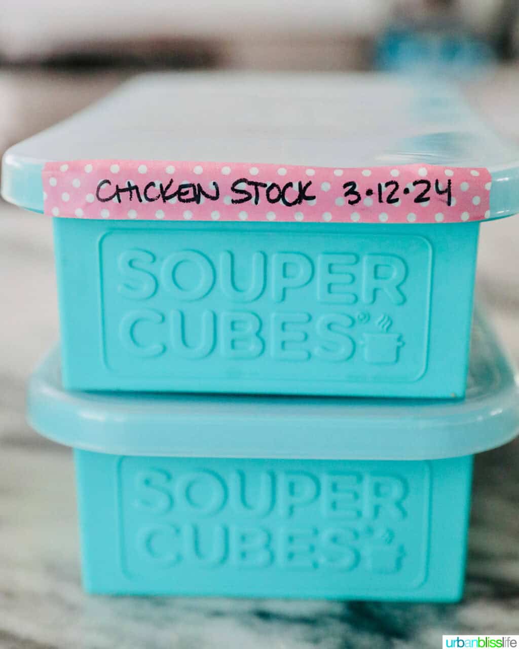 souper cubes labeled "chicken stock"