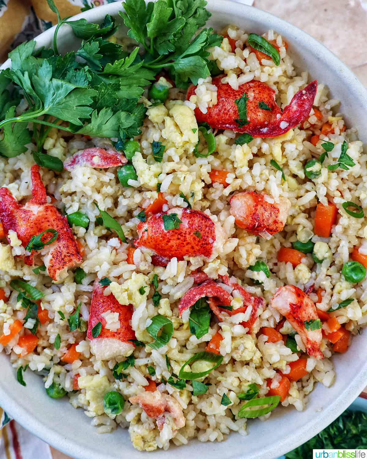 bowl of lobster fried rice.