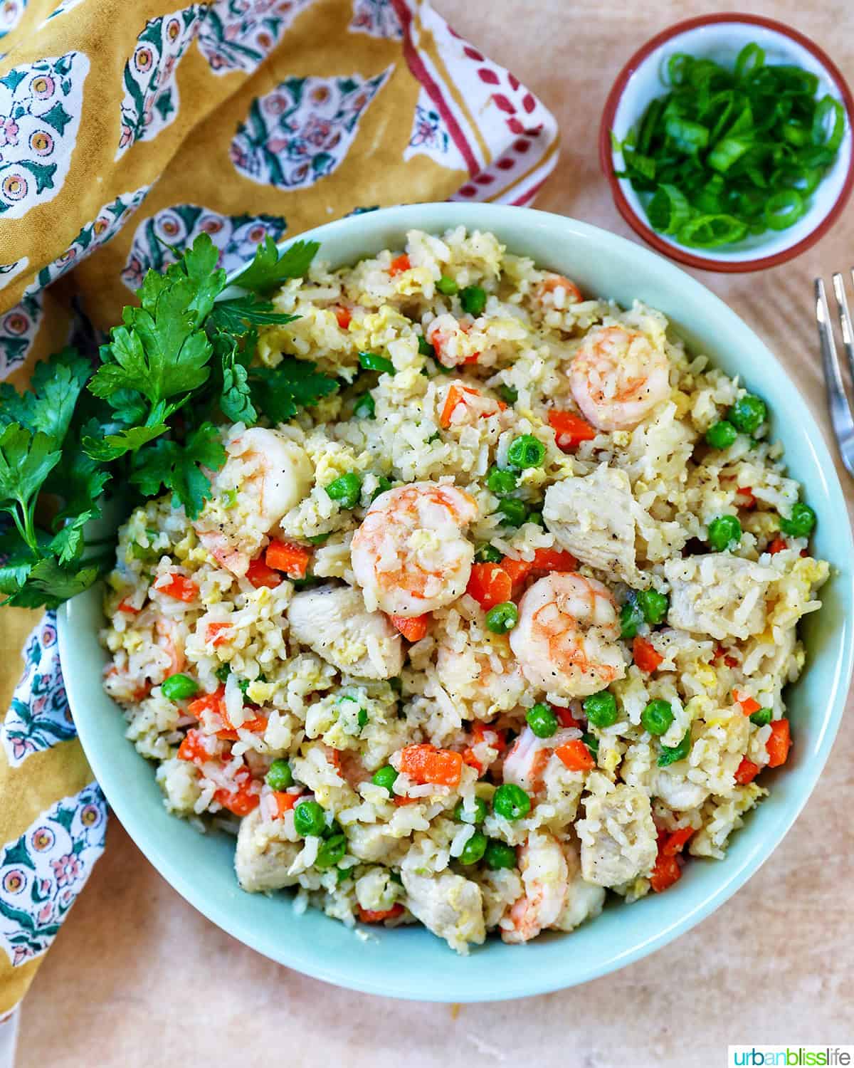 bowl of shrimp and chicken fried rice with side bowl garnish of chopped parsley.