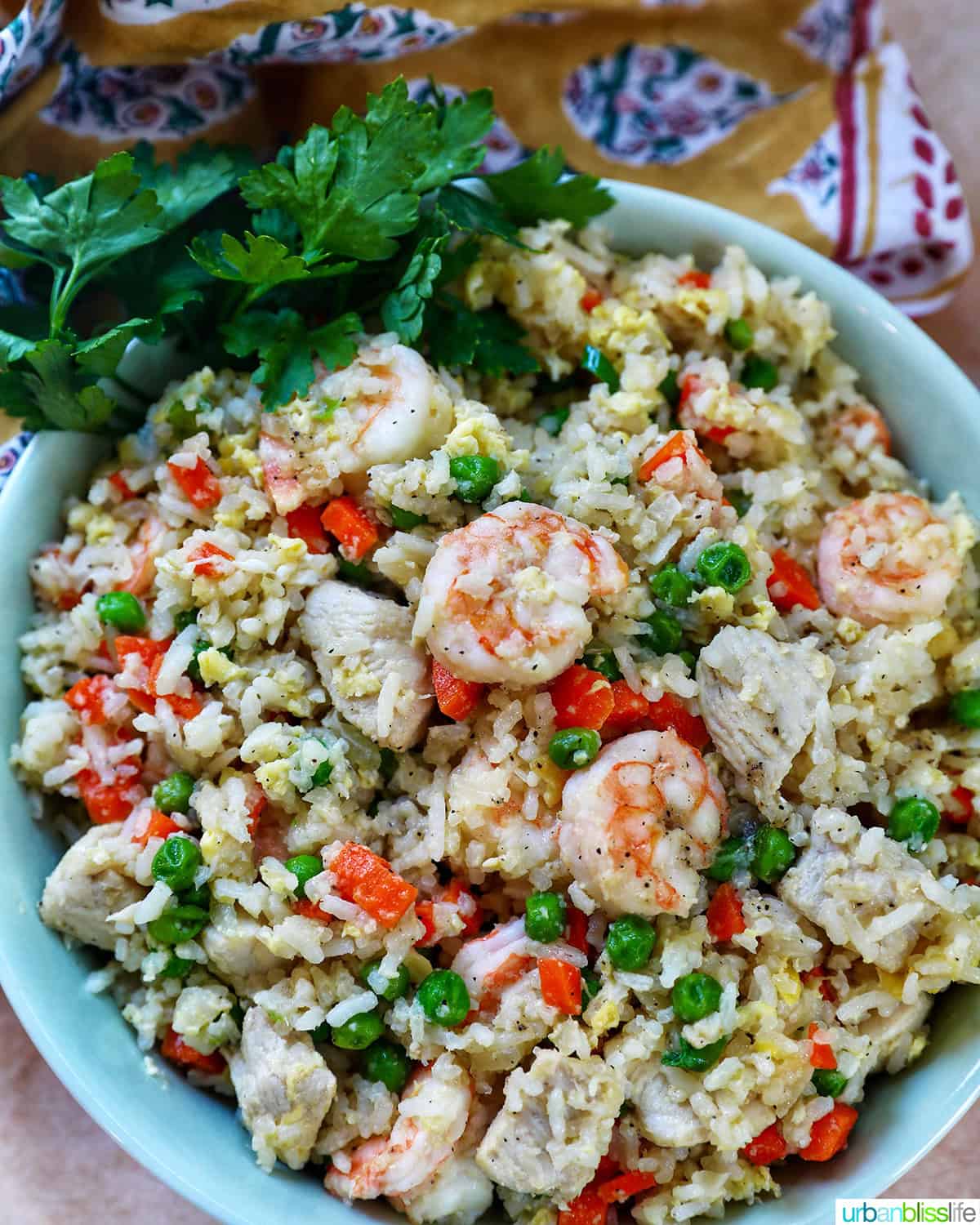 bowl of shrimp and chicken fried rice with side bowl garnish of chopped parsley.