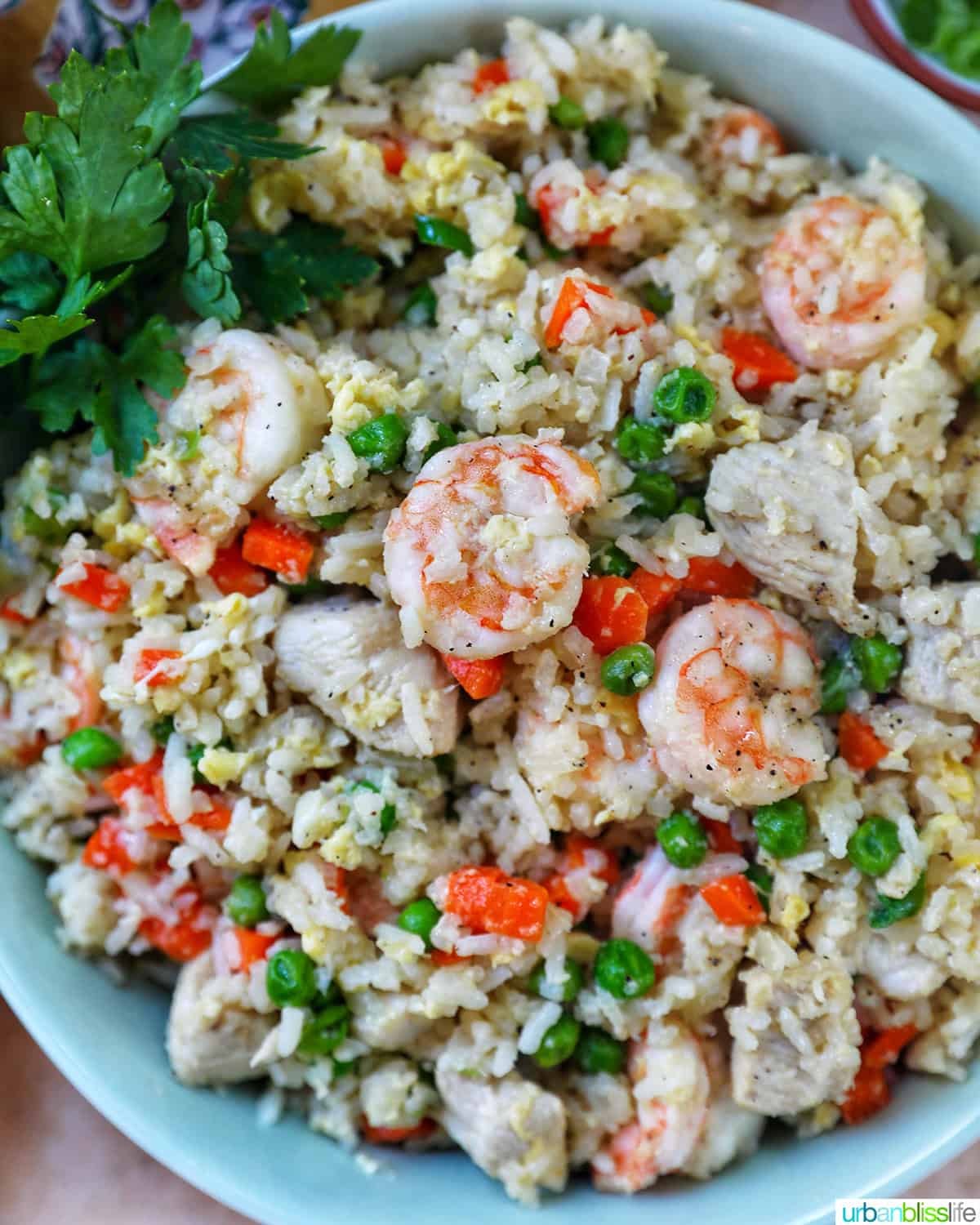 bowl of shrimp and chicken fried rice with side bowl garnish of chopped parsley.