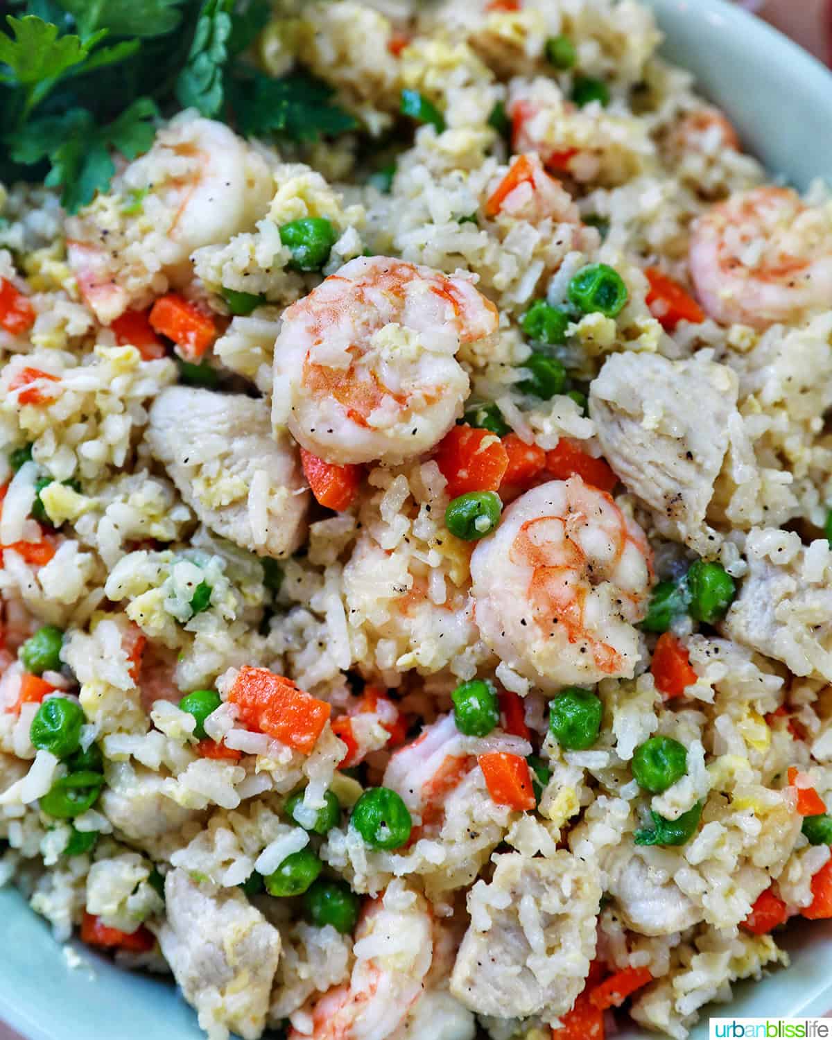 bowl of shrimp and chicken fried rice with side bowl garnish of chopped parsley.