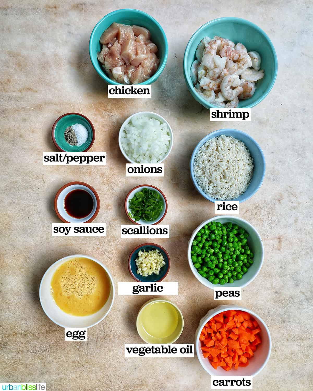 bowls of ingredients to make shrimp and chicken fried rice.