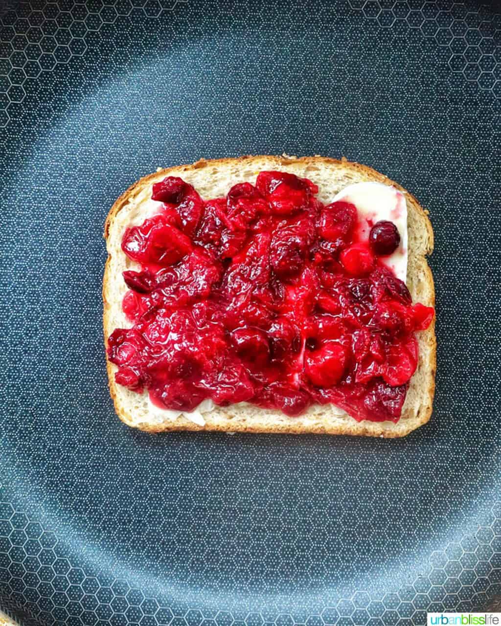 cranberry sauce on brie on bread in a pan.