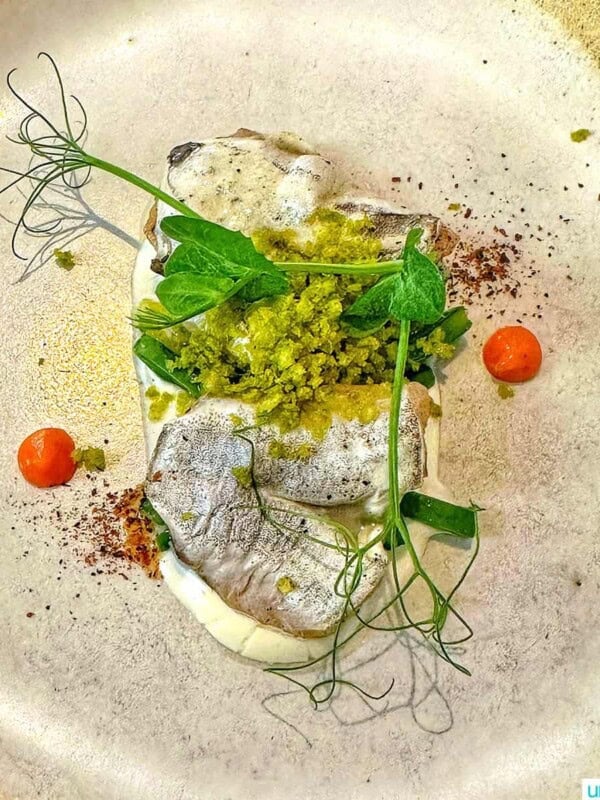beautiful plate of food at kokotxa restaurant in san sebastian spain