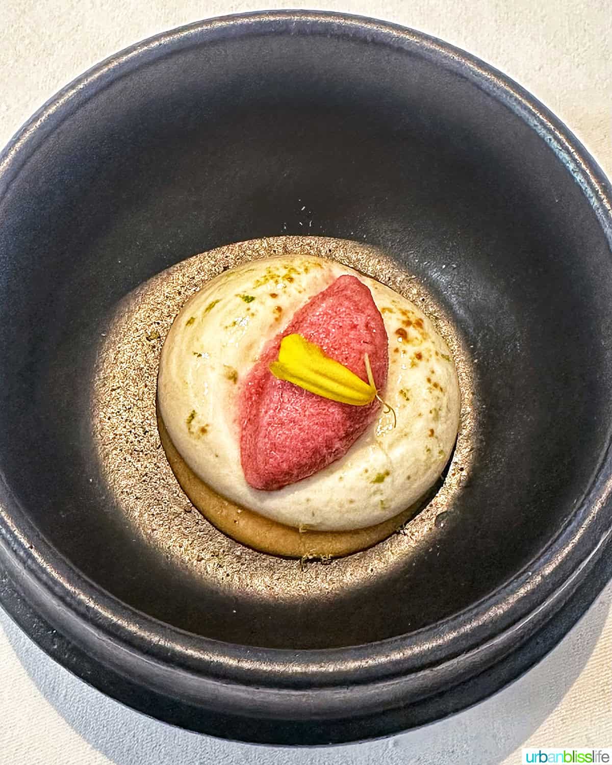 sorbet at Kokotxa