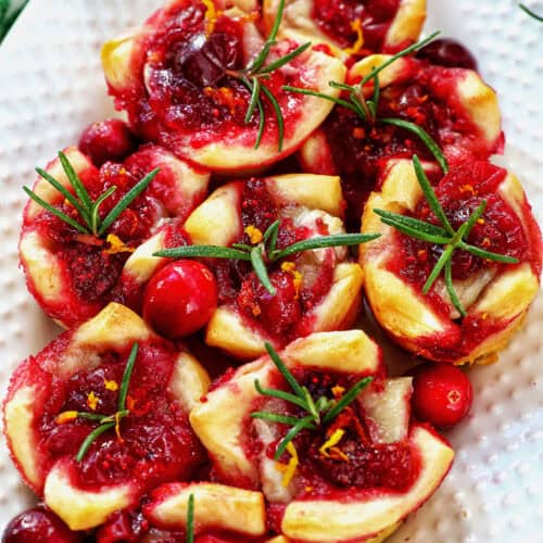 cranberry brie tartlet appetizers on a plate