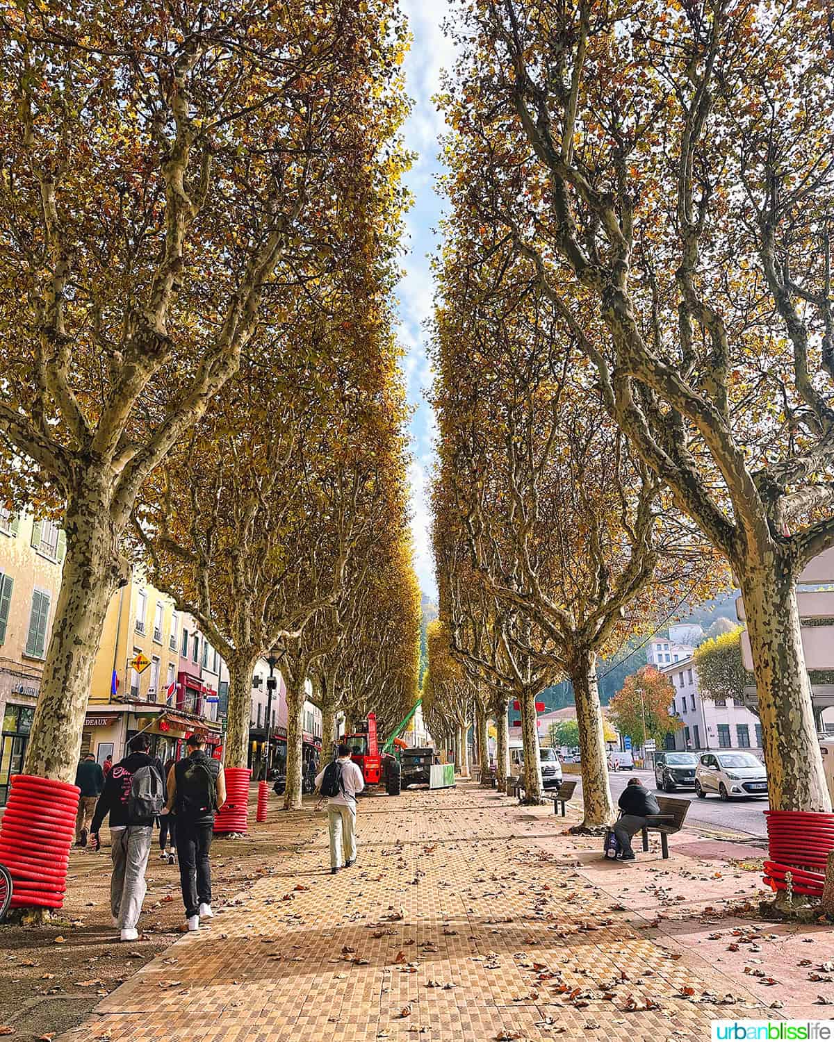 tree lined walkway in vienne, france