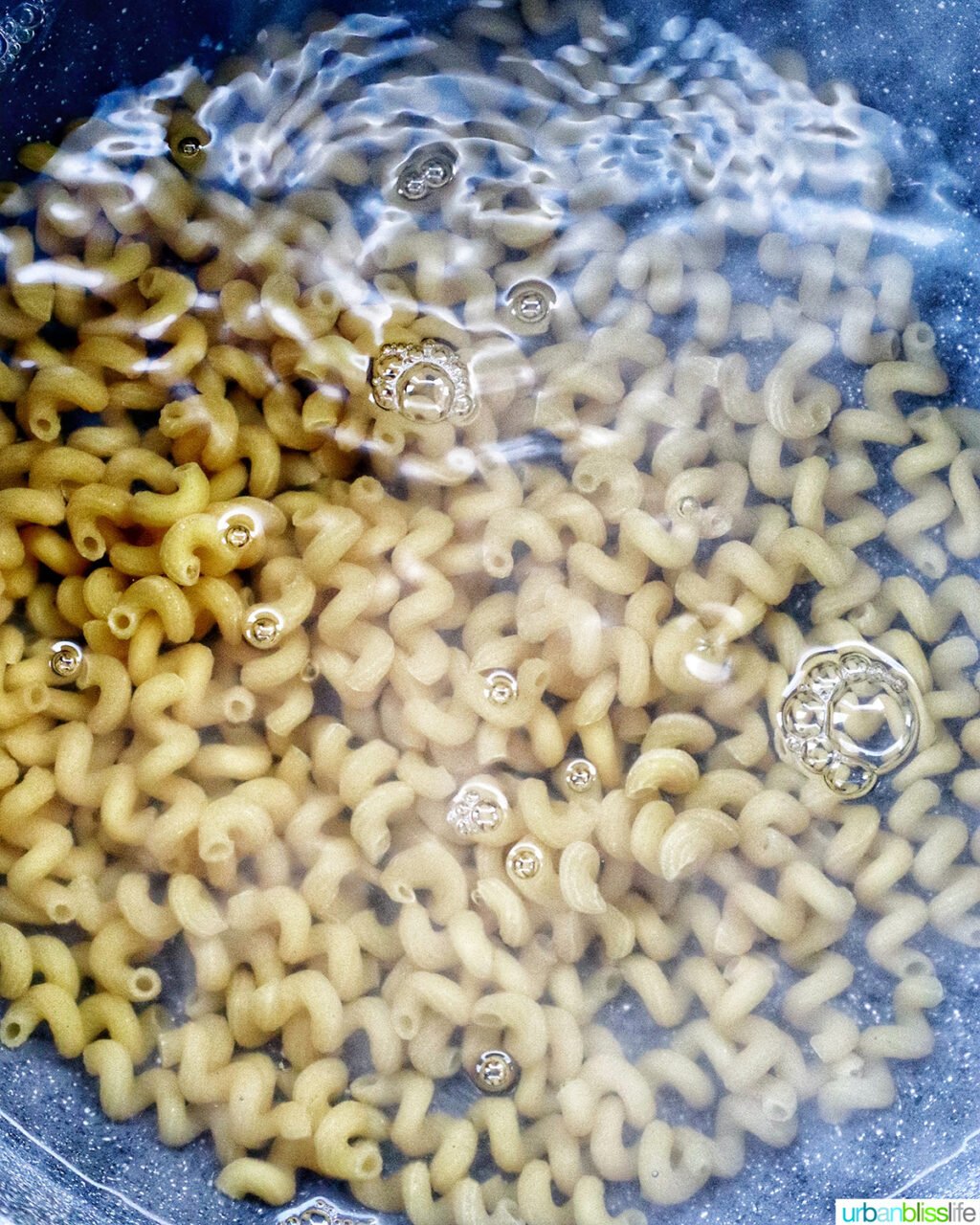 pasta in a boiling pot of water.