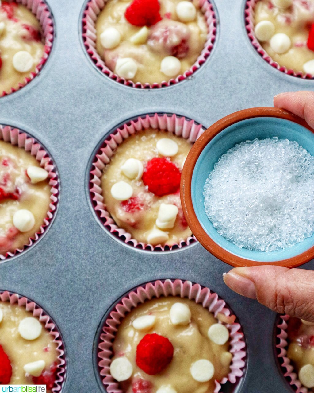 hand holding sugar over raspberry white chocolate chip muffins in a muffin pan.