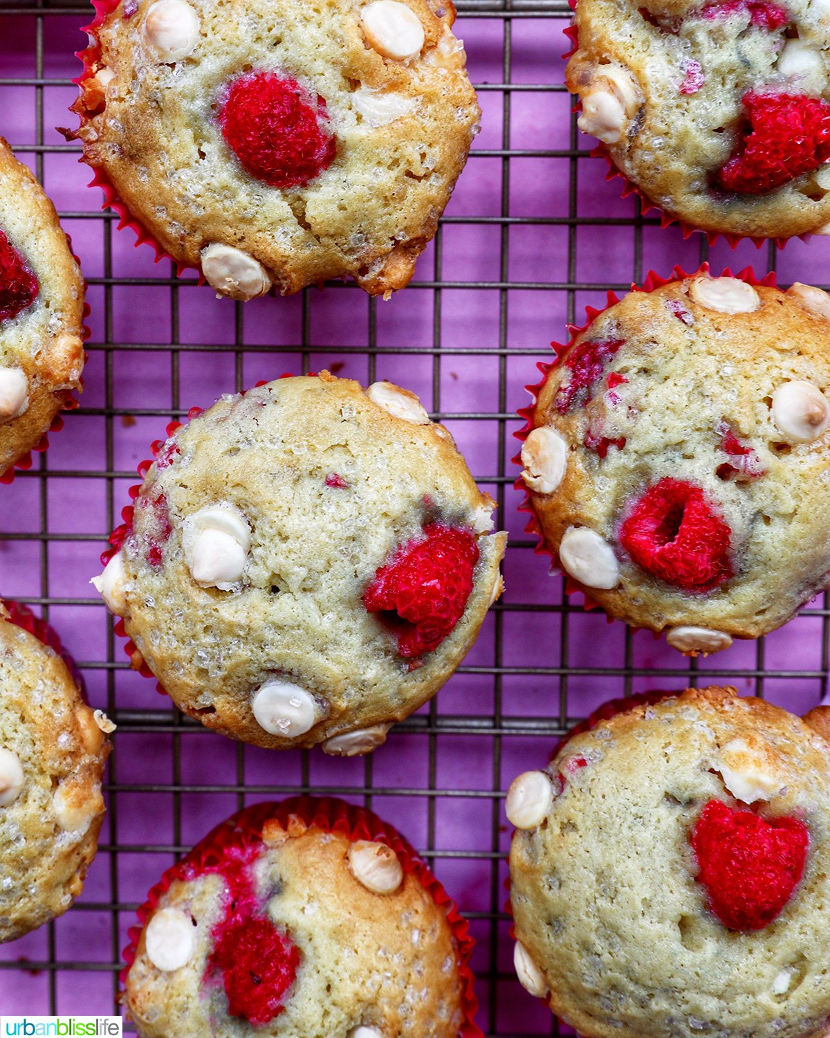 rows of raspberry white chocolate chip muffins on a wire rack.