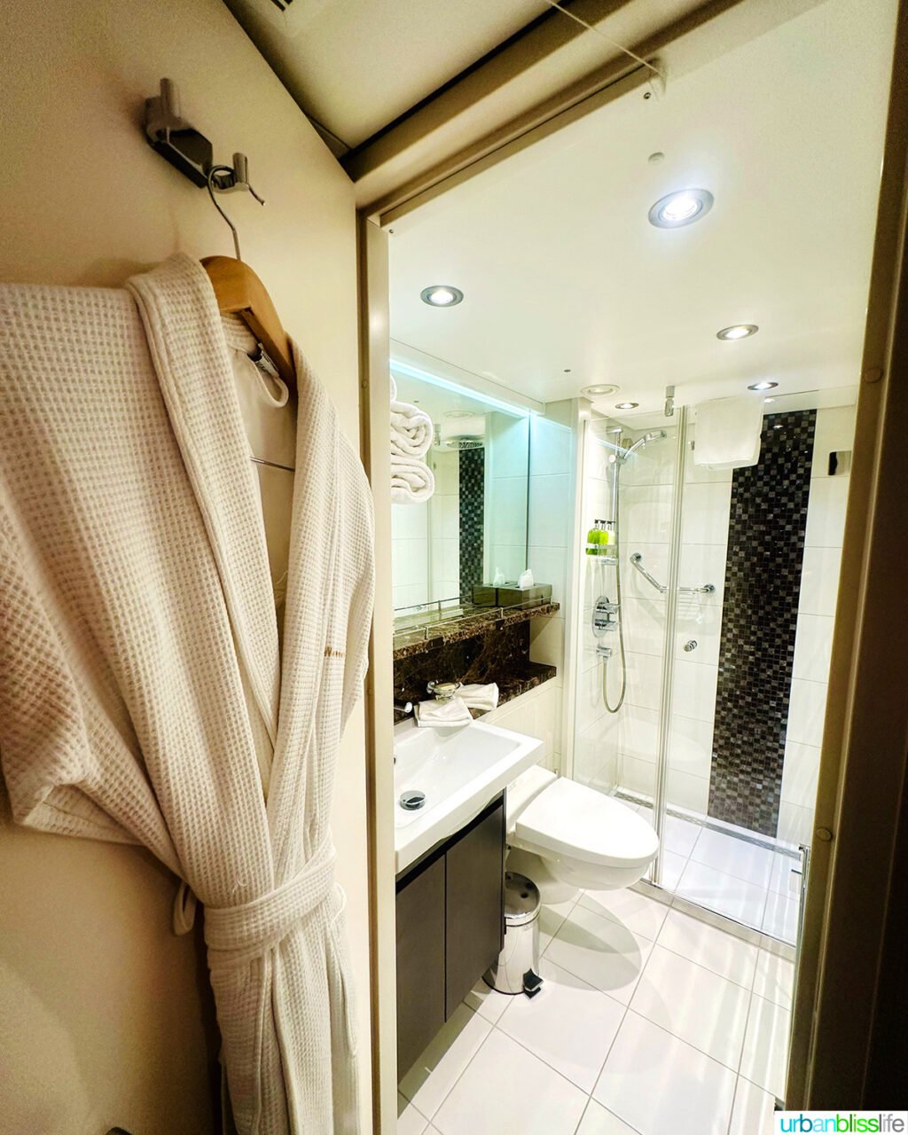 AmaWaterways AmaKristina bathroom.