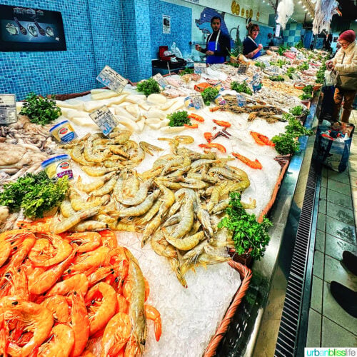 les halles avignon fresh seafood