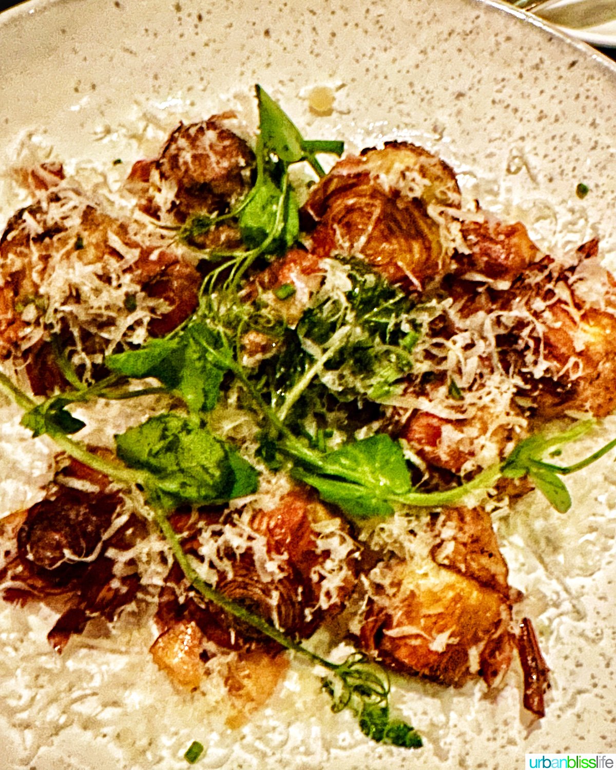 crispy baby artichokes at Carlotto restaurant in NYC New York.