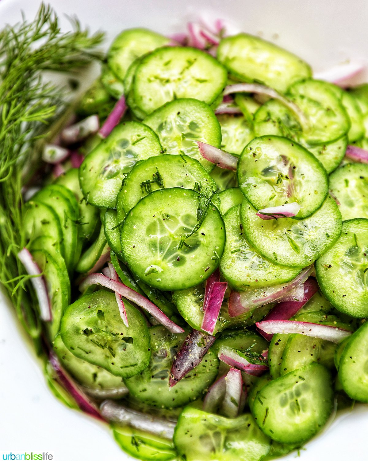 bowl of cucumber dill salad.