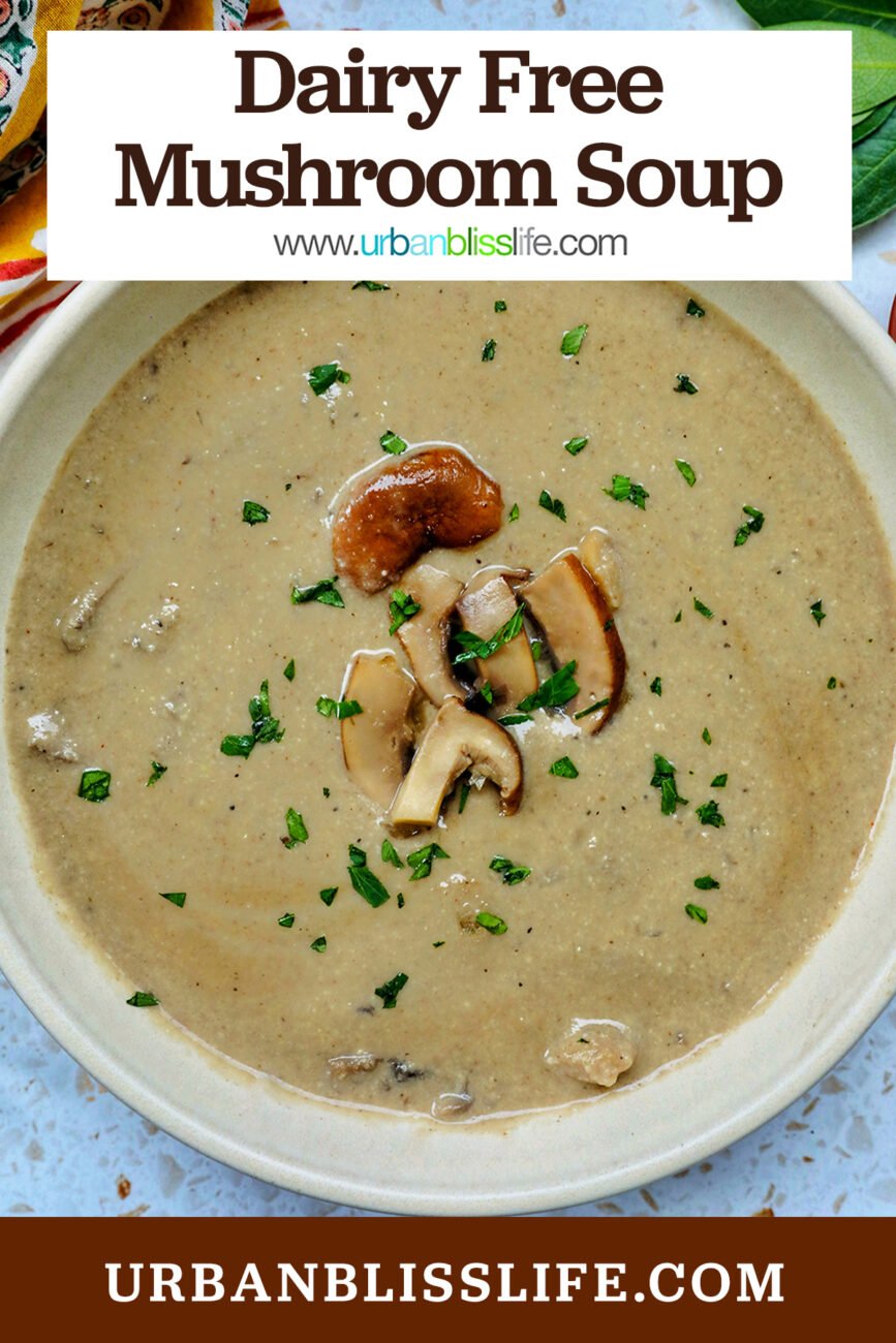 bowl of dairy free mushroom soup with title text overlay.