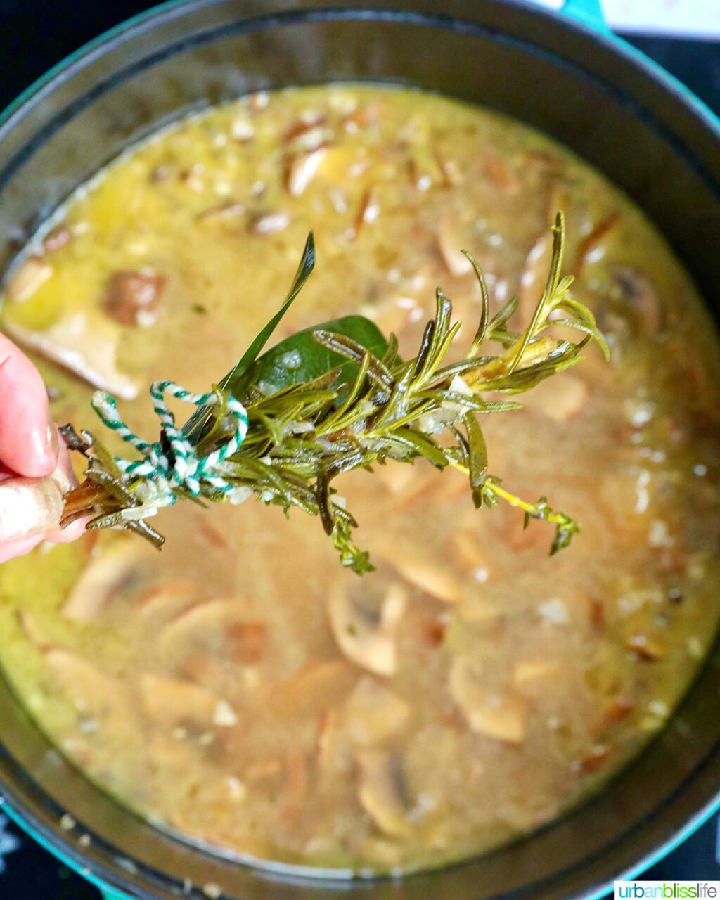 bouquet of herbs tied together held above a pot of dairy free mushroom soup.