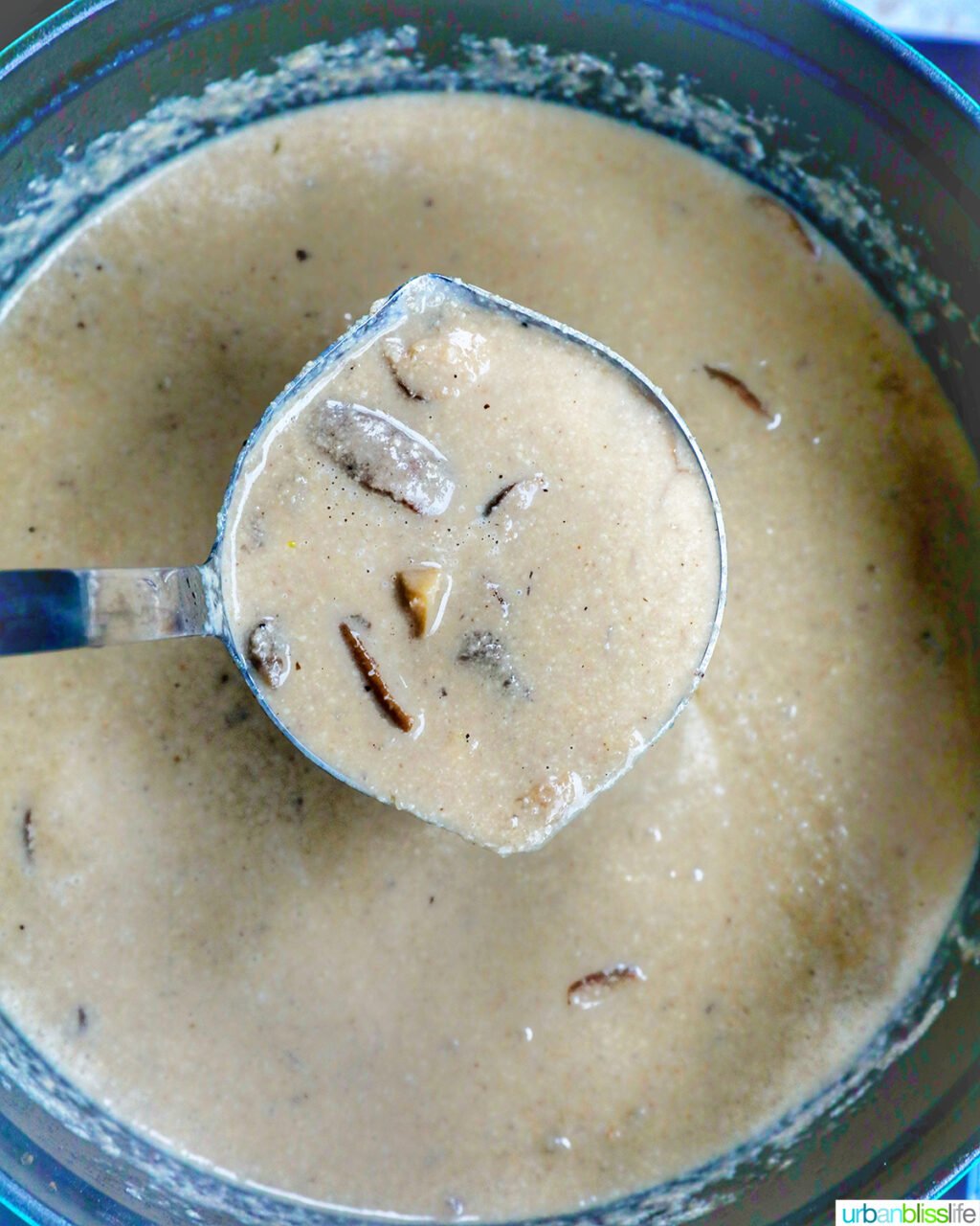 ladle of mushroom soup above a pot of soup.