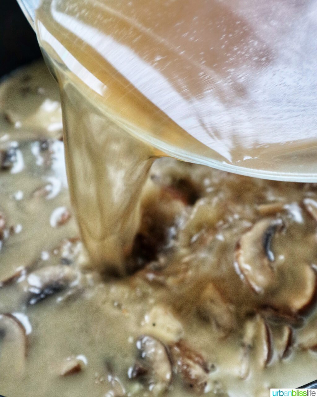 vegetable broth pouring into mushroom soup.