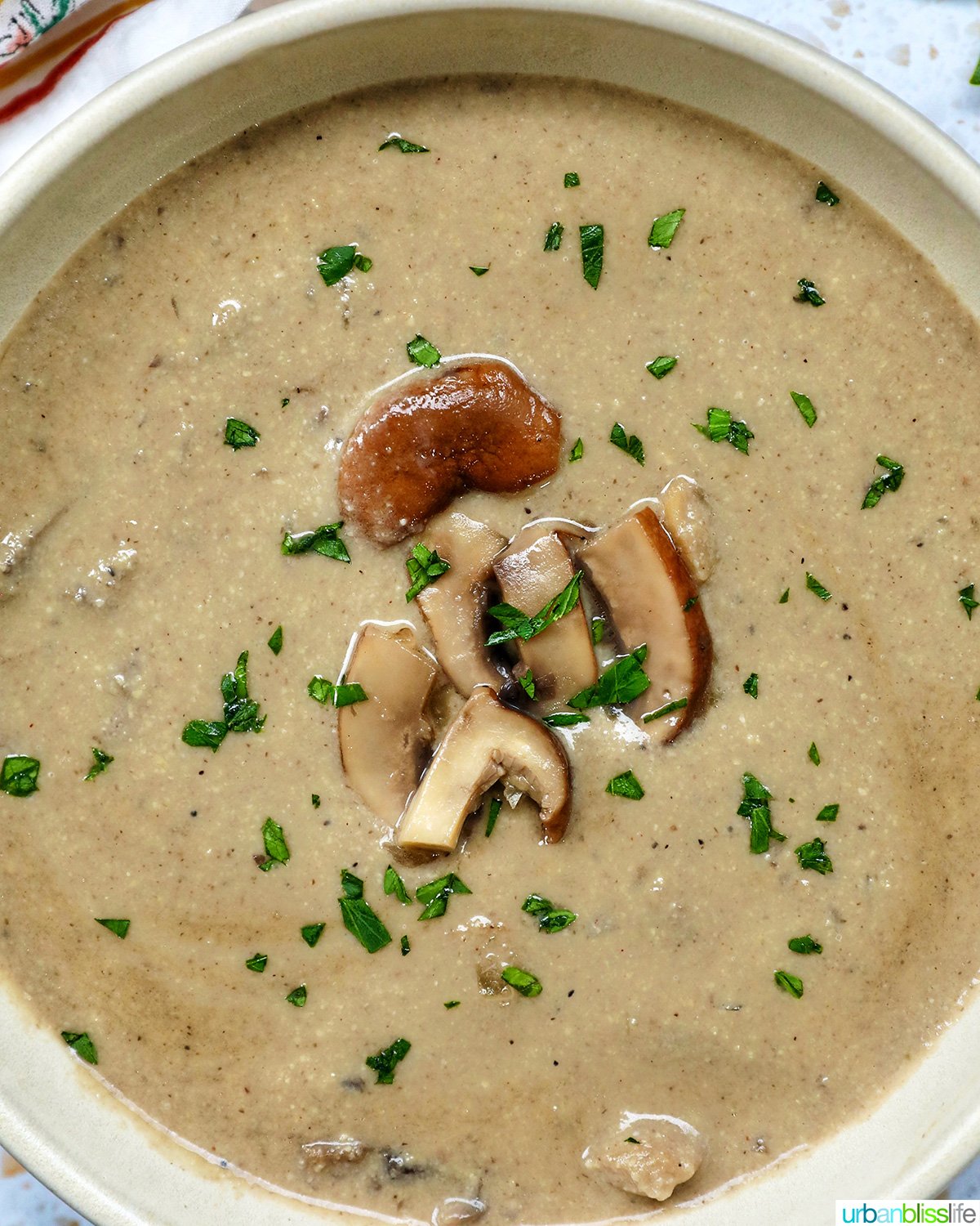 bowl of dairy free mushroom soup.