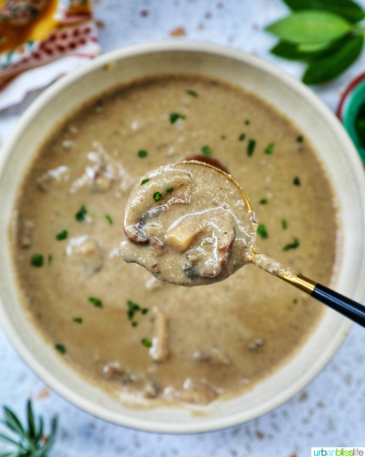 bowl of dairy free mushroom soup.